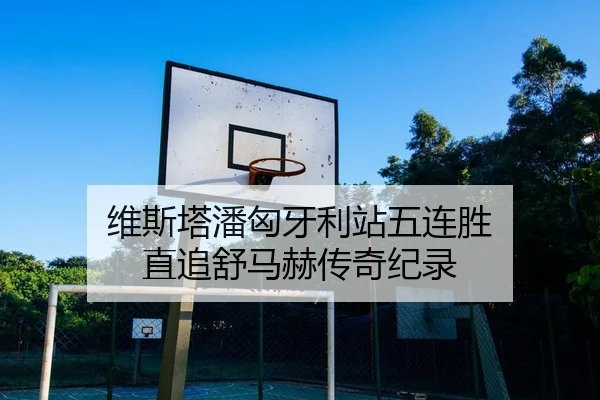 维斯塔潘匈牙利站五连胜 直追舒马赫传奇纪录（leyu）